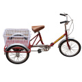 Light and Portable Senior People Three Wheel Bike (FP-TRCY028)